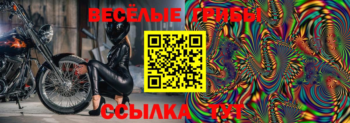 Алексин  Галлюциногенные грибы Cubensis  Галлюциногенные грибы Psilocybe  Вход с VPN 