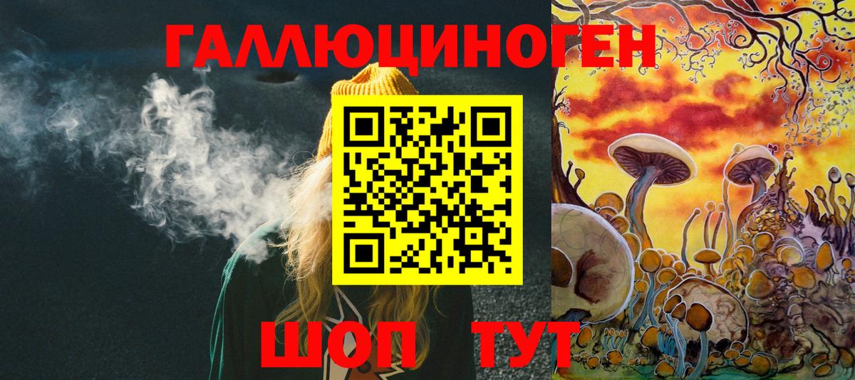 Псилоцибиновые грибы мицелий Алексин